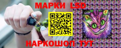 spice Кандалакша