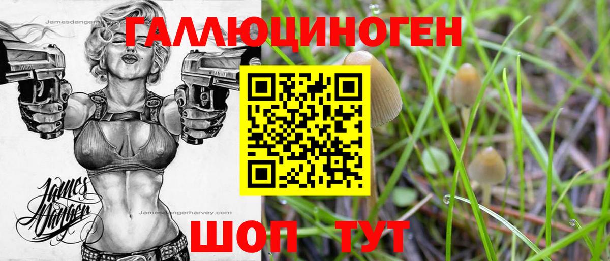 Галлюциногенные грибы мицелий Конаково