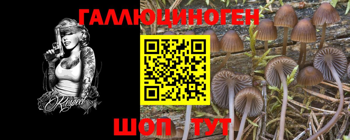 Конаково  Галлюциногенные грибы Psilocybe  где купить наркотик  Галлюциногенные грибы Magic Shrooms  Вход с VPN 